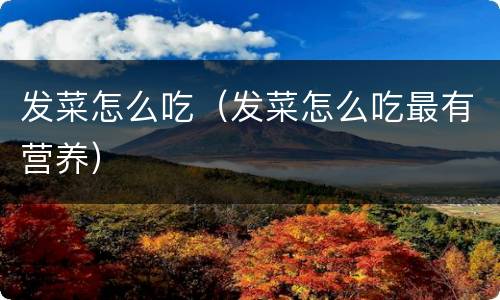 发菜怎么吃（发菜怎么吃最有营养）