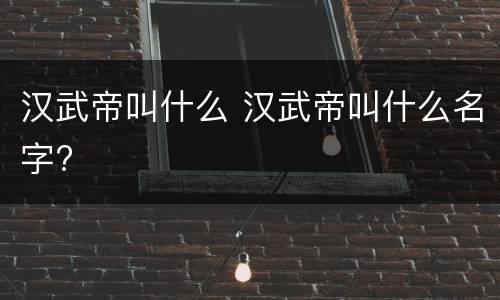 汉武帝叫什么 汉武帝叫什么名字?