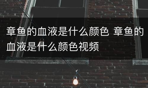 章鱼的血液是什么颜色 章鱼的血液是什么颜色视频