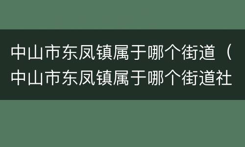 中山市东凤镇属于哪个街道（中山市东凤镇属于哪个街道社区）