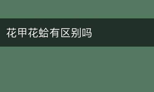 花甲花蛤有区别吗