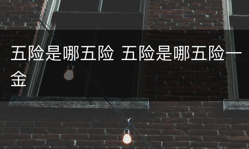 五险是哪五险 五险是哪五险一金