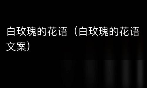 白玫瑰的花语（白玫瑰的花语文案）