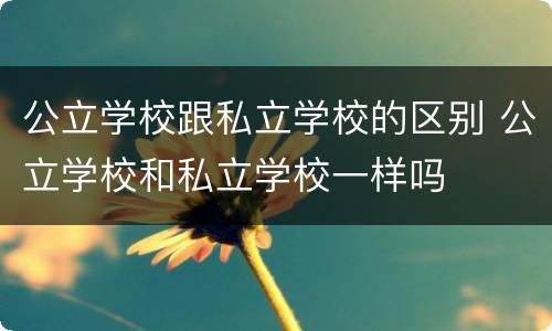 公立学校跟私立学校的区别 公立学校和私立学校一样吗