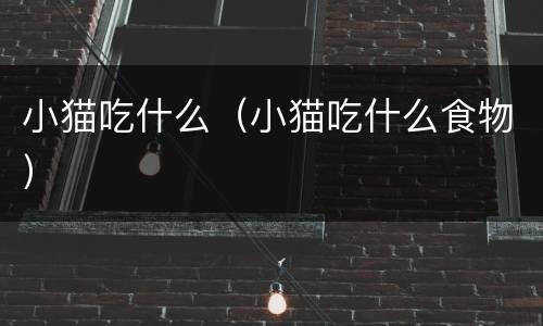小猫吃什么（小猫吃什么食物）