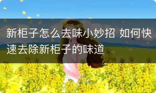 新柜子怎么去味小妙招 如何快速去除新柜子的味道