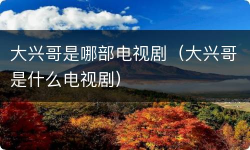 大兴哥是哪部电视剧（大兴哥是什么电视剧）