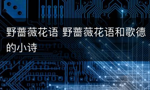 野蔷薇花语 野蔷薇花语和歌德的小诗