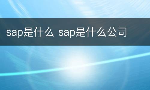 sap是什么 sap是什么公司