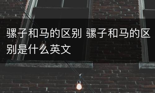 骡子和马的区别 骡子和马的区别是什么英文