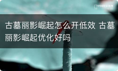 古墓丽影崛起怎么开低效 古墓丽影崛起优化好吗