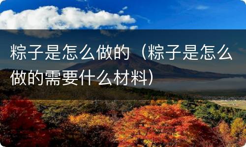 粽子是怎么做的（粽子是怎么做的需要什么材料）