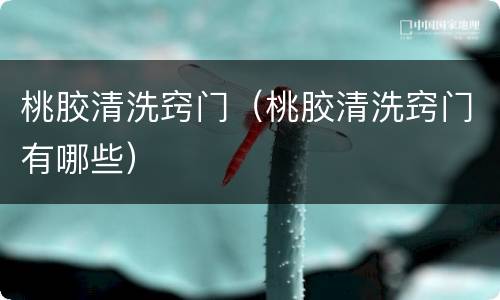 桃胶清洗窍门（桃胶清洗窍门有哪些）