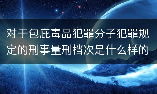 对于包庇毒品犯罪分子犯罪规定的刑事量刑档次是什么样的