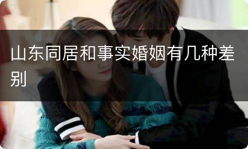 山东同居和事实婚姻有几种差别
