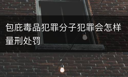 包庇毒品犯罪分子犯罪会怎样量刑处罚