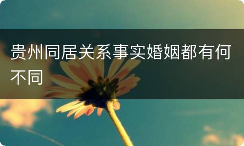 贵州同居关系事实婚姻都有何不同