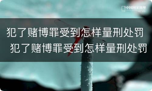 犯了赌博罪受到怎样量刑处罚 犯了赌博罪受到怎样量刑处罚最轻