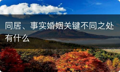 同居、事实婚姻关键不同之处有什么