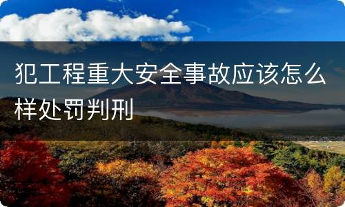犯工程重大安全事故应该怎么样处罚判刑