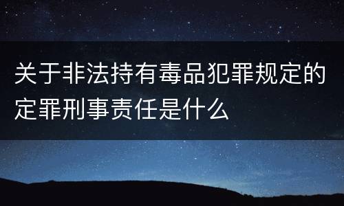 关于非法持有毒品犯罪规定的定罪刑事责任是什么
