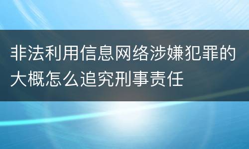 非法利用信息网络涉嫌犯罪的大概怎么追究刑事责任