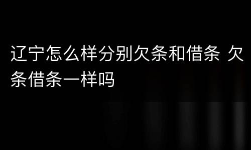 辽宁怎么样分别欠条和借条 欠条借条一样吗