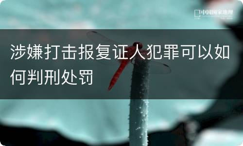 涉嫌打击报复证人犯罪可以如何判刑处罚