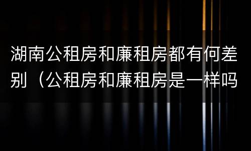 湖南公租房和廉租房都有何差别（公租房和廉租房是一样吗）