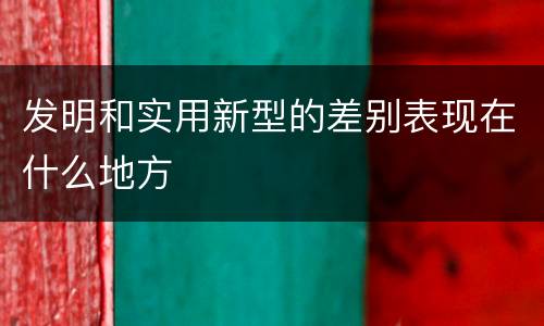 发明和实用新型的差别表现在什么地方