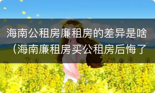 海南公租房廉租房的差异是啥（海南廉租房买公租房后悔了）