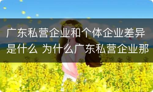 广东私营企业和个体企业差异是什么 为什么广东私营企业那么少