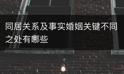 同居关系及事实婚姻关键不同之处有哪些