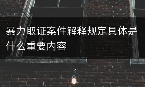 暴力取证案件解释规定具体是什么重要内容