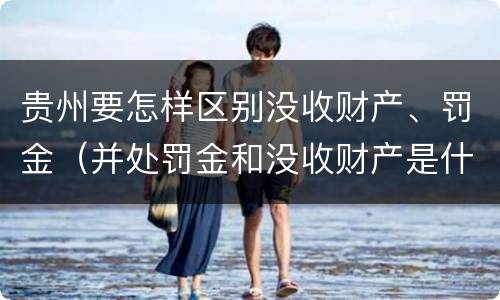 贵州要怎样区别没收财产、罚金（并处罚金和没收财产是什么意思）
