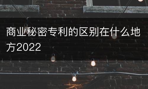商业秘密专利的区别在什么地方2022