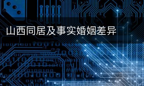 山西同居及事实婚姻差异