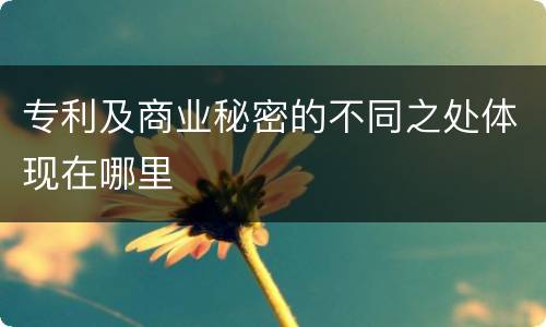 专利及商业秘密的不同之处体现在哪里