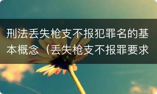 刑法丢失枪支不报犯罪名的基本概念（丢失枪支不报罪要求造成了严重后果的才构成犯罪）