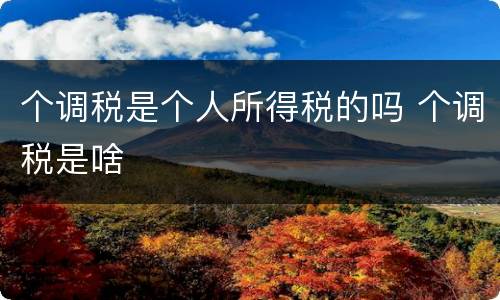 个调税是个人所得税的吗 个调税是啥