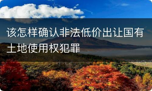 该怎样确认非法低价出让国有土地使用权犯罪