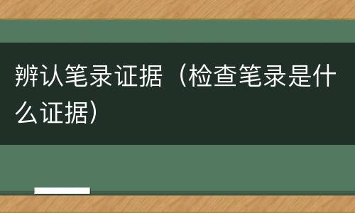 辨认笔录证据（检查笔录是什么证据）