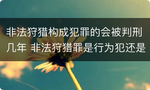 非法狩猎构成犯罪的会被判刑几年 非法狩猎罪是行为犯还是结果犯