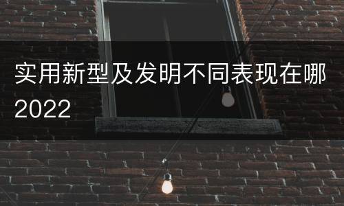 实用新型及发明不同表现在哪2022