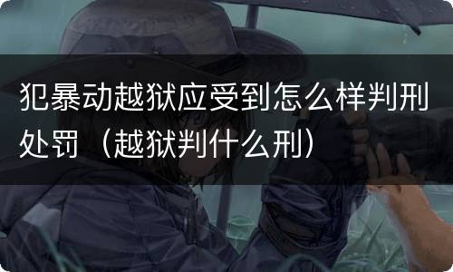 犯暴动越狱应受到怎么样判刑处罚（越狱判什么刑）