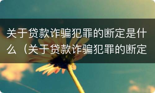 关于贷款诈骗犯罪的断定是什么（关于贷款诈骗犯罪的断定是什么标准）