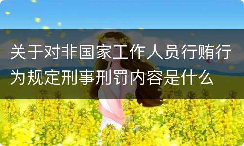 关于对非国家工作人员行贿行为规定刑事刑罚内容是什么