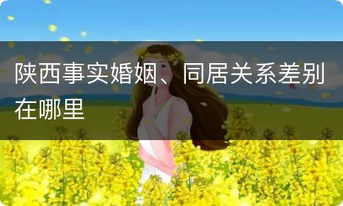 陕西事实婚姻、同居关系差别在哪里