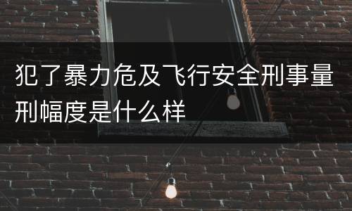 犯了暴力危及飞行安全刑事量刑幅度是什么样