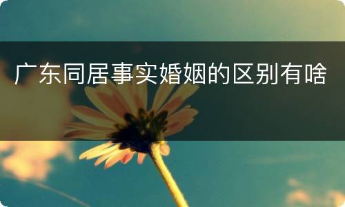 广东同居事实婚姻的区别有啥